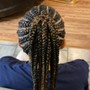 Medium Box Braids midback