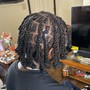 Starter Locs