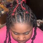 Knotless Braids (small)