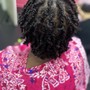 Double-Strand Twists