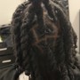 Starter Locs