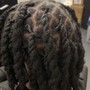 Starter Locs