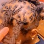 Twist Out