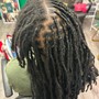 Starter Locks two strand twist