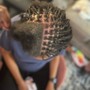 Kinky Twist