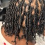 Starter Locs - ADULT