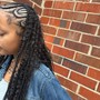 Large Braided Ponytail