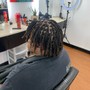 Sisterlocs Starter