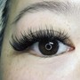 Lash Model