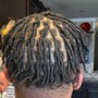 Adult starter locs