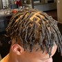 Adult starter locs