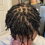 Adult starter locs