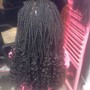 Micros in Front W/ Crochet Braids in back