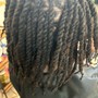 Two Strand Twists