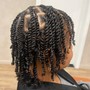 Two Strand Twists