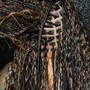 Goddess Braids BOHO small