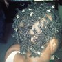 Small box braids