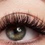 Eyelash Fill