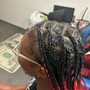 Two Strand Twists