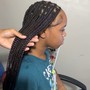 Feed-in Braids (6-10)