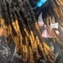 Loc Wash and Trim