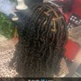 Two Strand Twists (no hair added)