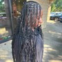 Tree Braids