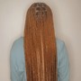 Braided ponytails starts@