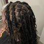 Extended braids on knotless or twist