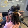 Kid's Retwist (Ear to Shoulder Length)