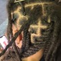 Loc retwist