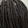 Senegalese Twist - medium size , midback