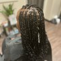 Senegalese Twist Medium