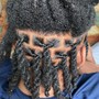 Two Strand Twists (locs)