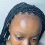 Small Feed-in Ponytail