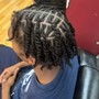 small two strand twists (fro)