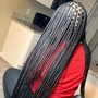 Medium Box Braids