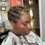 Platinum Short Hair Mold and Style