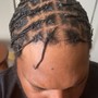 Starter locs