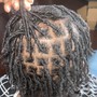 Starter locs