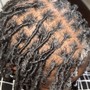 Starter locs