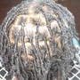 Starter locs