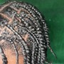 6 stitch Braids and Ponytail