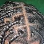 2 Feed in Braids