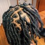 Starter Locs