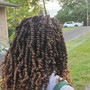 Havana Twists