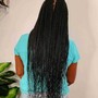 Medium Senegalese twists(mid-back length)