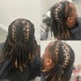 Large Braid Takedown