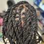 Starter locs/Coils