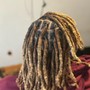 Starter Locs